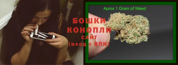 эйфоретик Богданович
