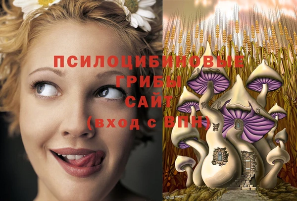 скорость Белокуриха