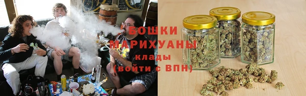 ПСИЛОЦИБИНОВЫЕ ГРИБЫ Покров